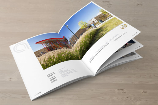 illuminens | graphic design | book arcame
