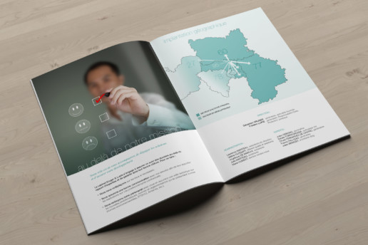 illuminens | graphic design | plaquette | kruger et lupis